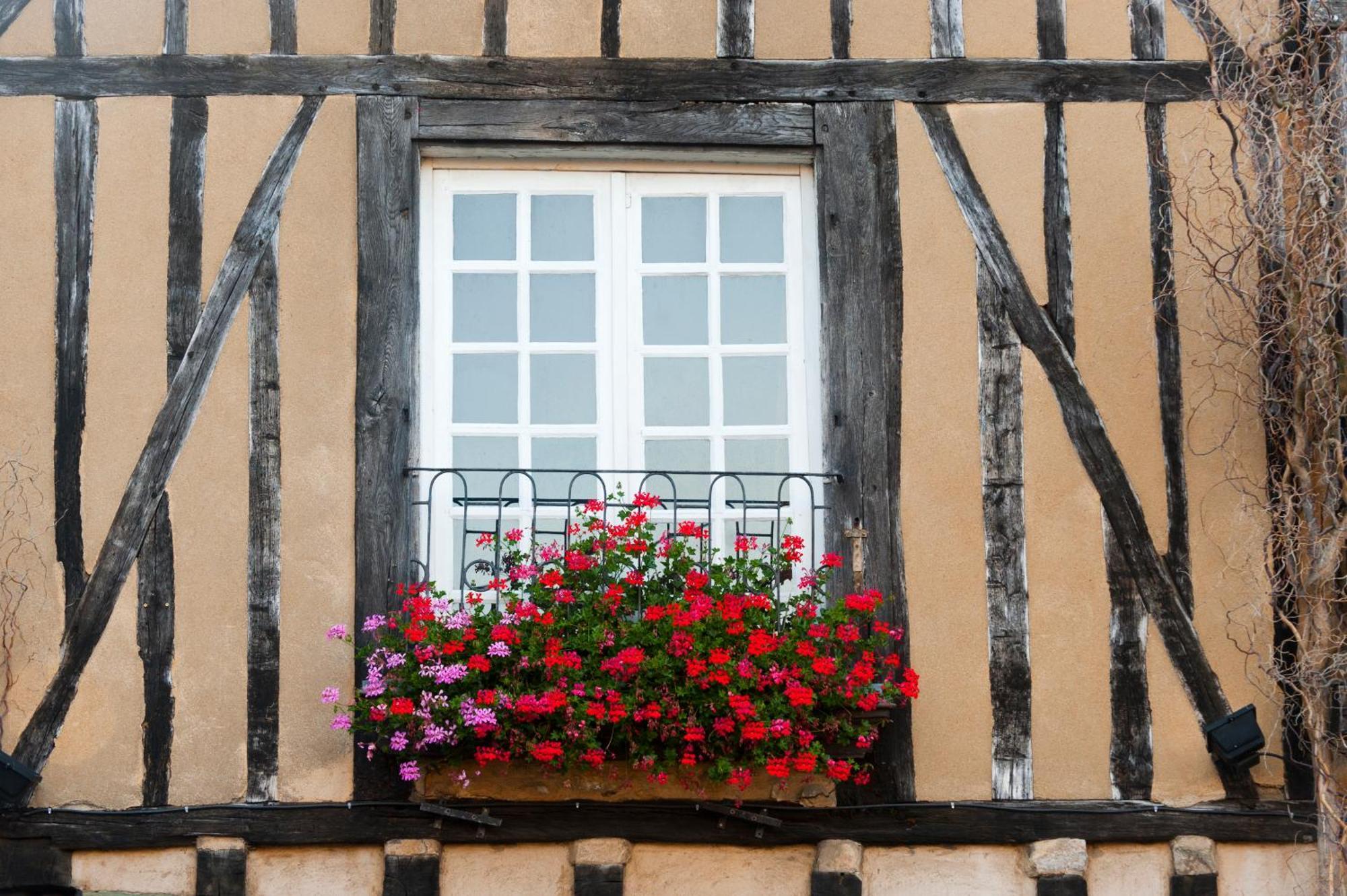 Chambres D'Hote - Maison Des Ecrivains - 50 M De La Cathedrale Et Place Des Jacobins Le Mans Dış mekan fotoğraf